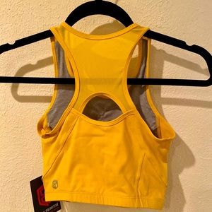 Born Primitive Cropped Meshed Sports Bra